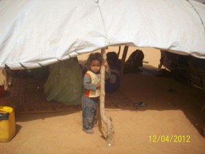 Guerra Mali_05